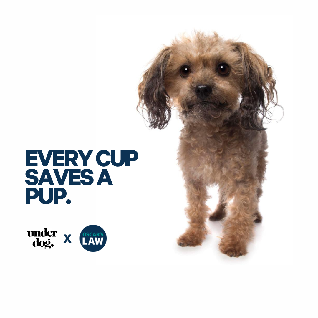 Oscar's Law Hero Mug