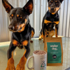 Legacy Blend