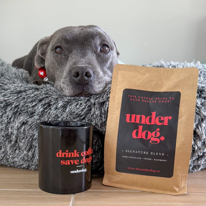Save Them All Mug