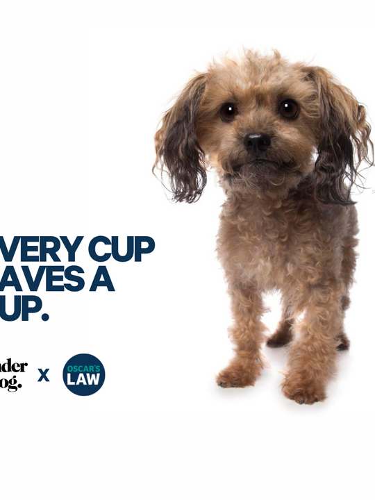 Oscar's Law Hero Mug