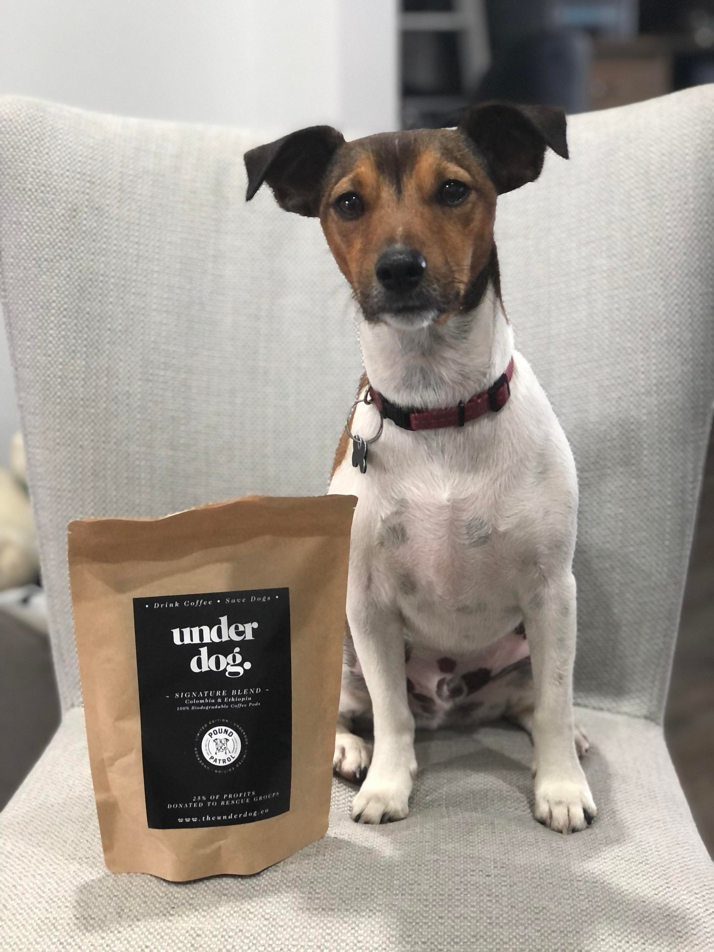 Underdog Blend Coffee Capsule
